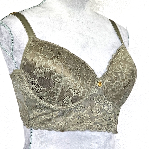 Daisy Fuentes Women's Lace Bra Size 38D Sage padded Underwire - Picture 1 of 6